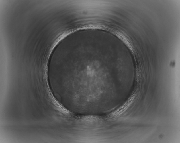 X0000101220797200806271446