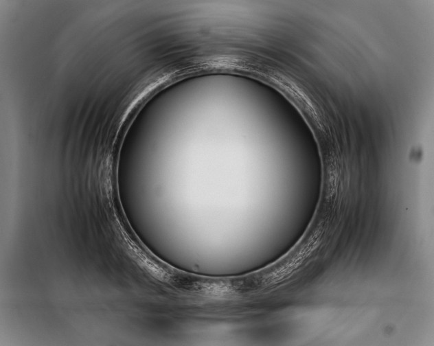 X0000101220798200806271446