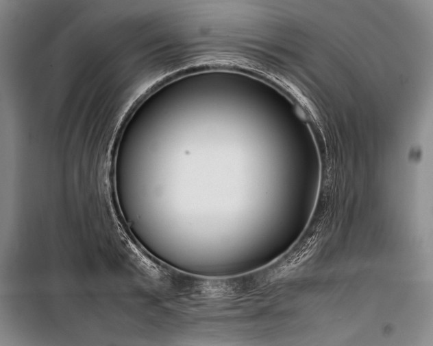 X0000101220799200806271446