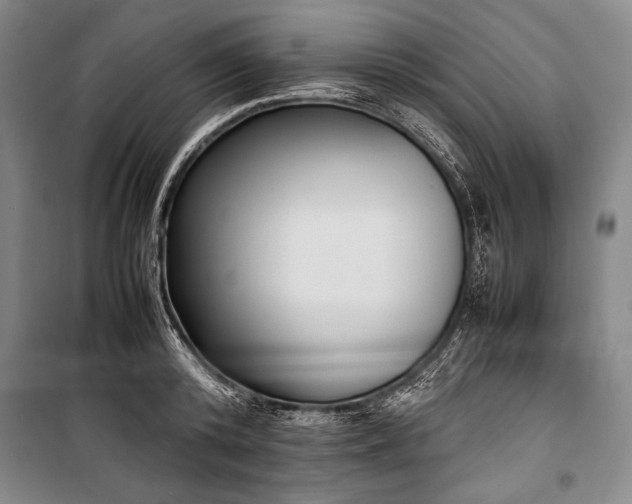 X0000101220800200806271446