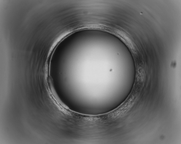 X0000101220804200806271446