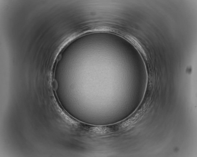 X0000101220805200806271446