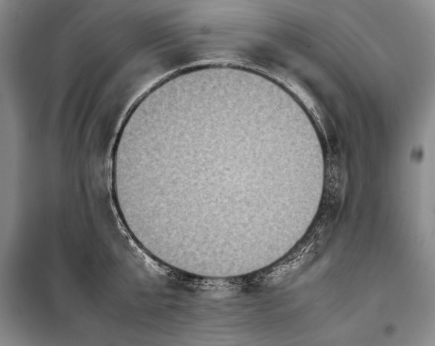 X0000101220807200806271446