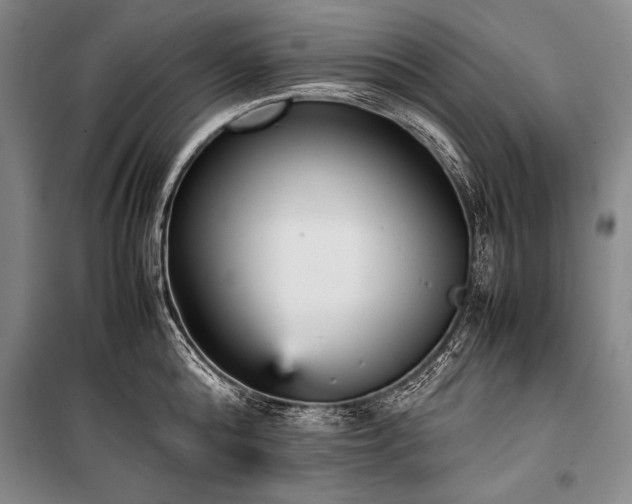 X0000101220808200806271446