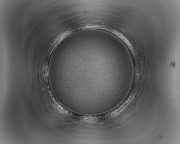 X0000101220809200806271446