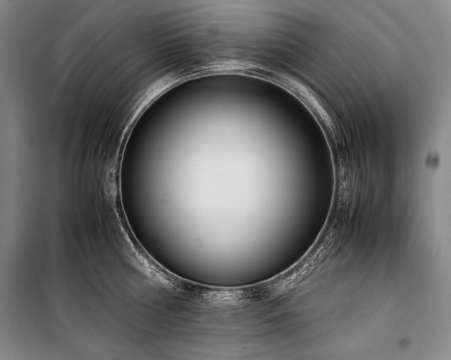 X0000101220810200806271446