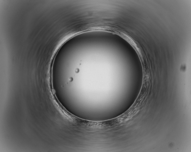 X0000101220811200806271446