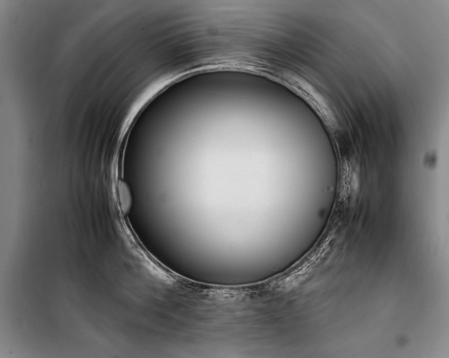 X0000101220812200806271446