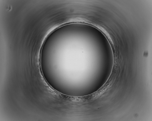 X0000101220815200806271446