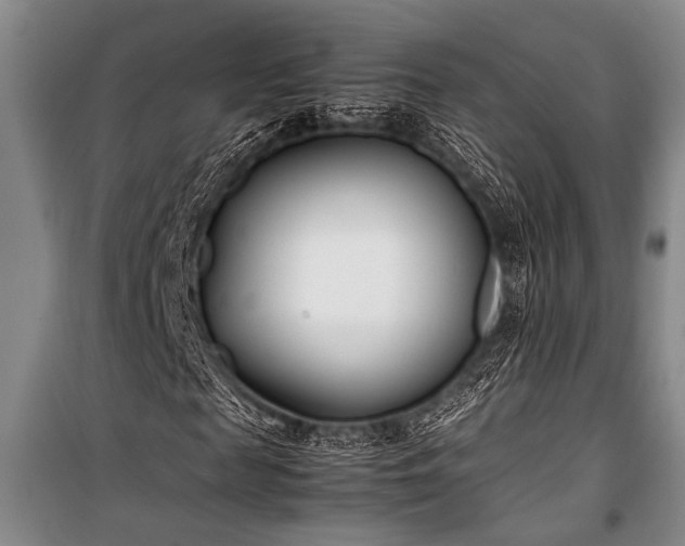 X0000101220817200806271445