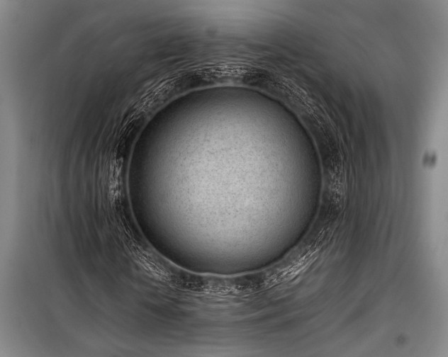 X0000101220818200806271445