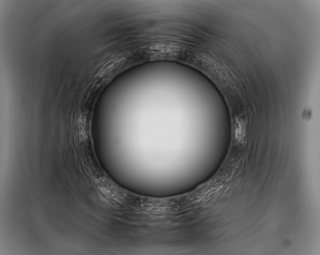 X0000101220819200806271445