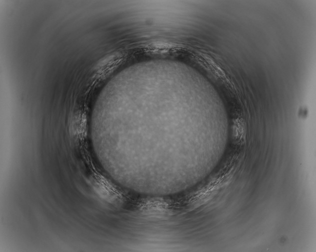 X0000101220820200806271445