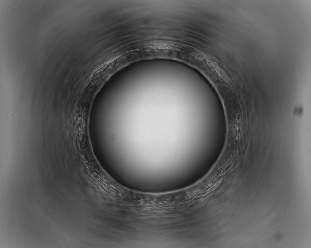 X0000101220821200806271445