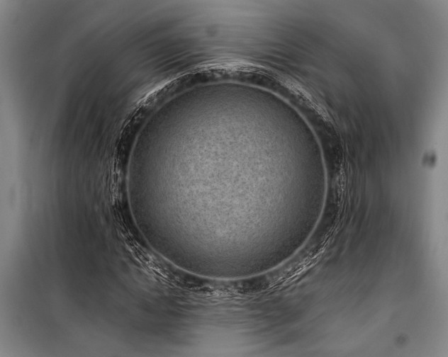 X0000101220822200806271445