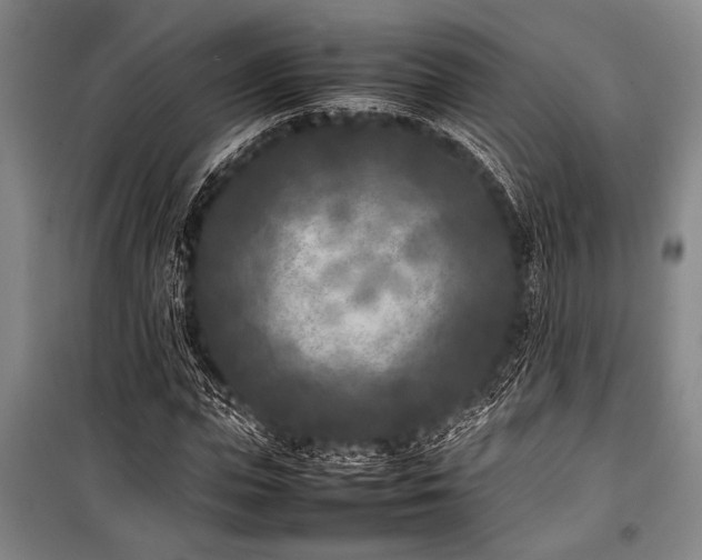 X0000101220823200806271445
