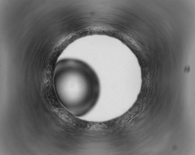 X0000101220824200806271445