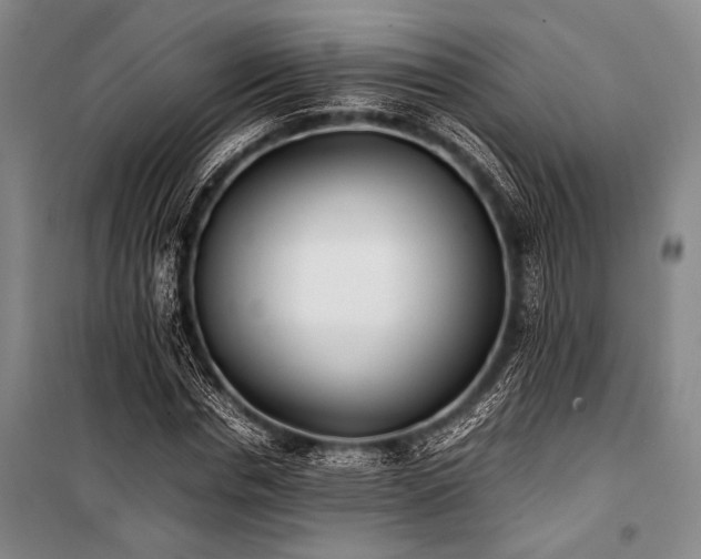 X0000101220826200806271445