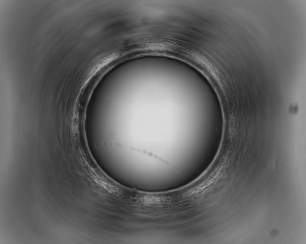 X0000101220827200806271445