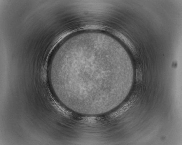 X0000101220828200806271445