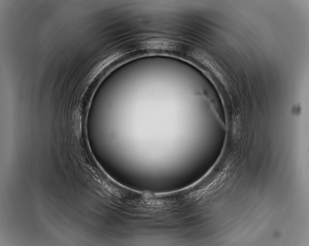 X0000101220829200806271445