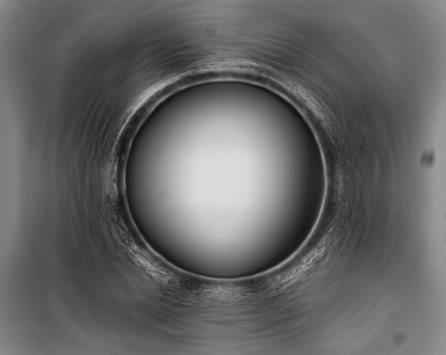 X0000101220830200806271445