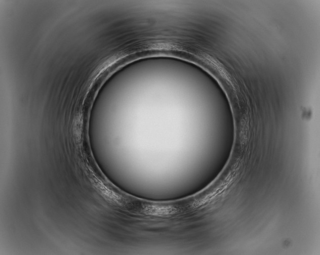 X0000101220831200806271445