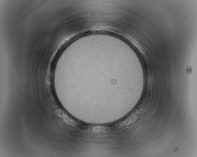 X0000101220832200806271445