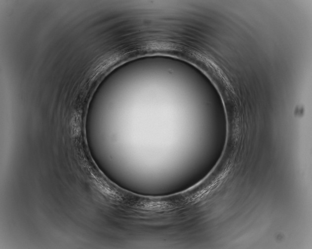 X0000101220833200806271445