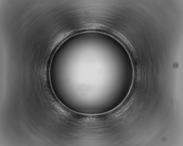 X0000101220834200806271445