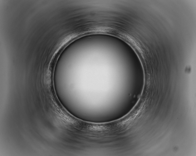 X0000101220835200806271445