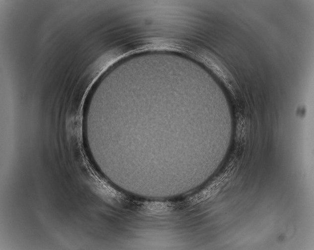 X0000101220836200806271445
