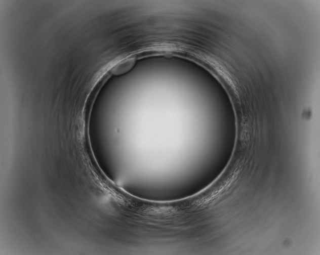 X0000101220837200806271445