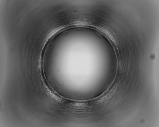 X0000101220839200806271445