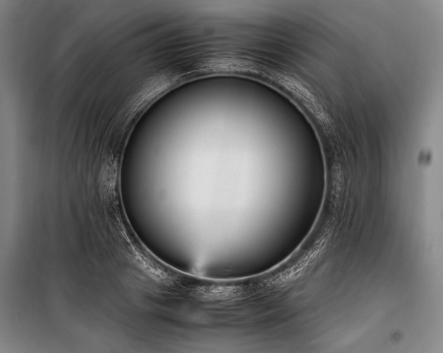 X0000101220841200806271445