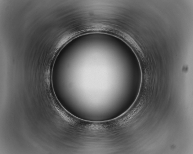 X0000101220842200806271445