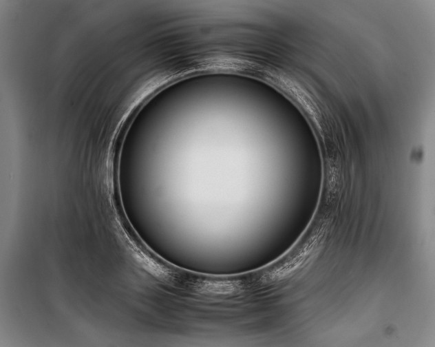 X0000101220843200806271445