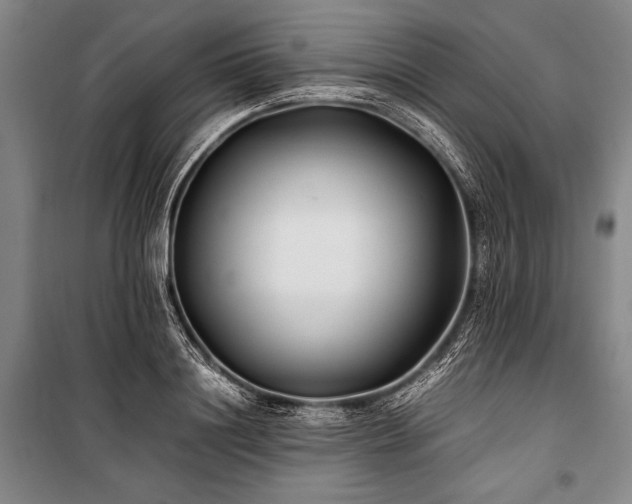 X0000101220844200806271445