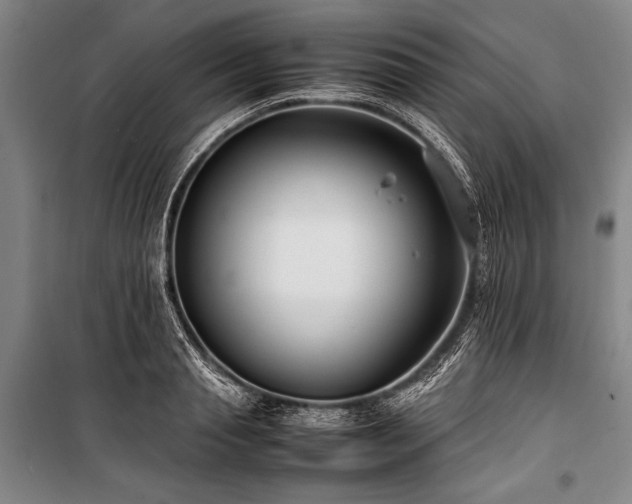 X0000101220845200806271445
