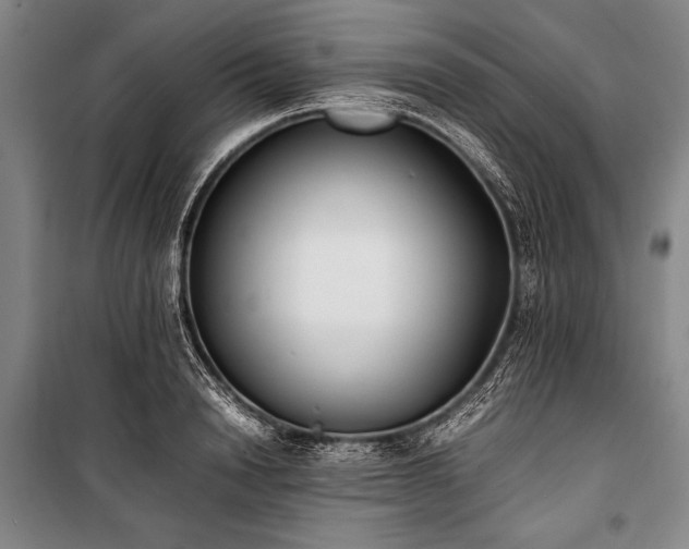 X0000101220846200806271445