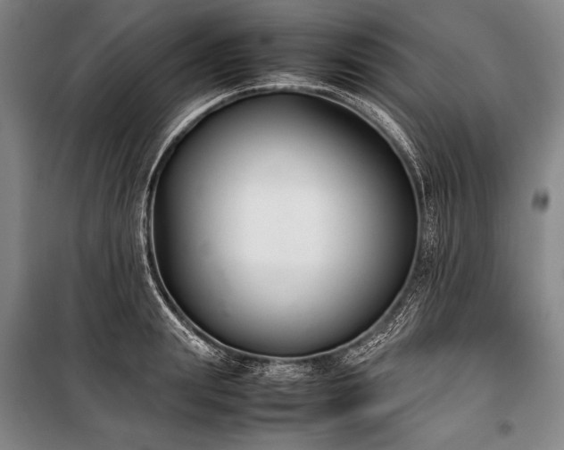X0000101220847200806271445