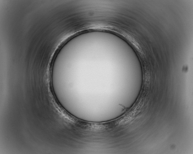 X0000101220848200806271445
