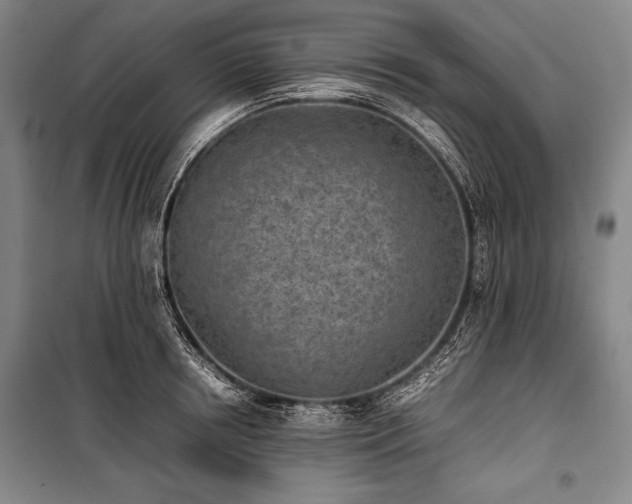 X0000101220850200806271445