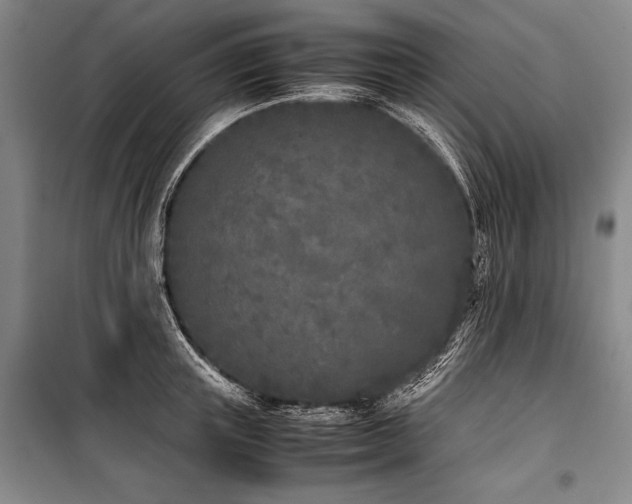 X0000101220851200806271445