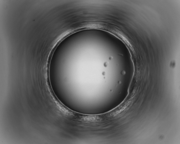 X0000101220853200806271446