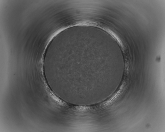 X0000101220854200806271446