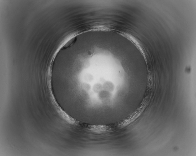X0000101220859200806271446