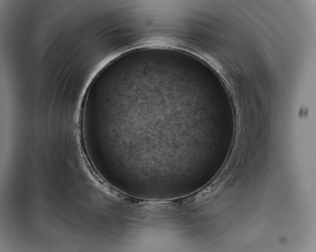 X0000101220864200806271446