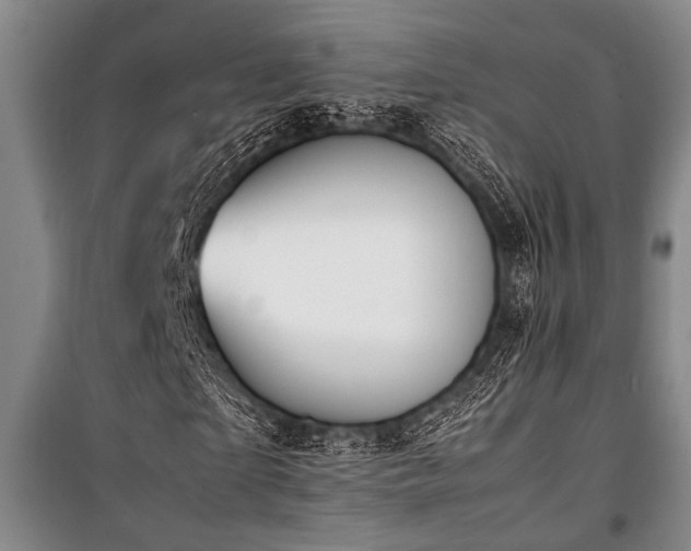 X0000101220865200806271445