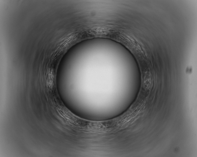 X0000101220866200806271445